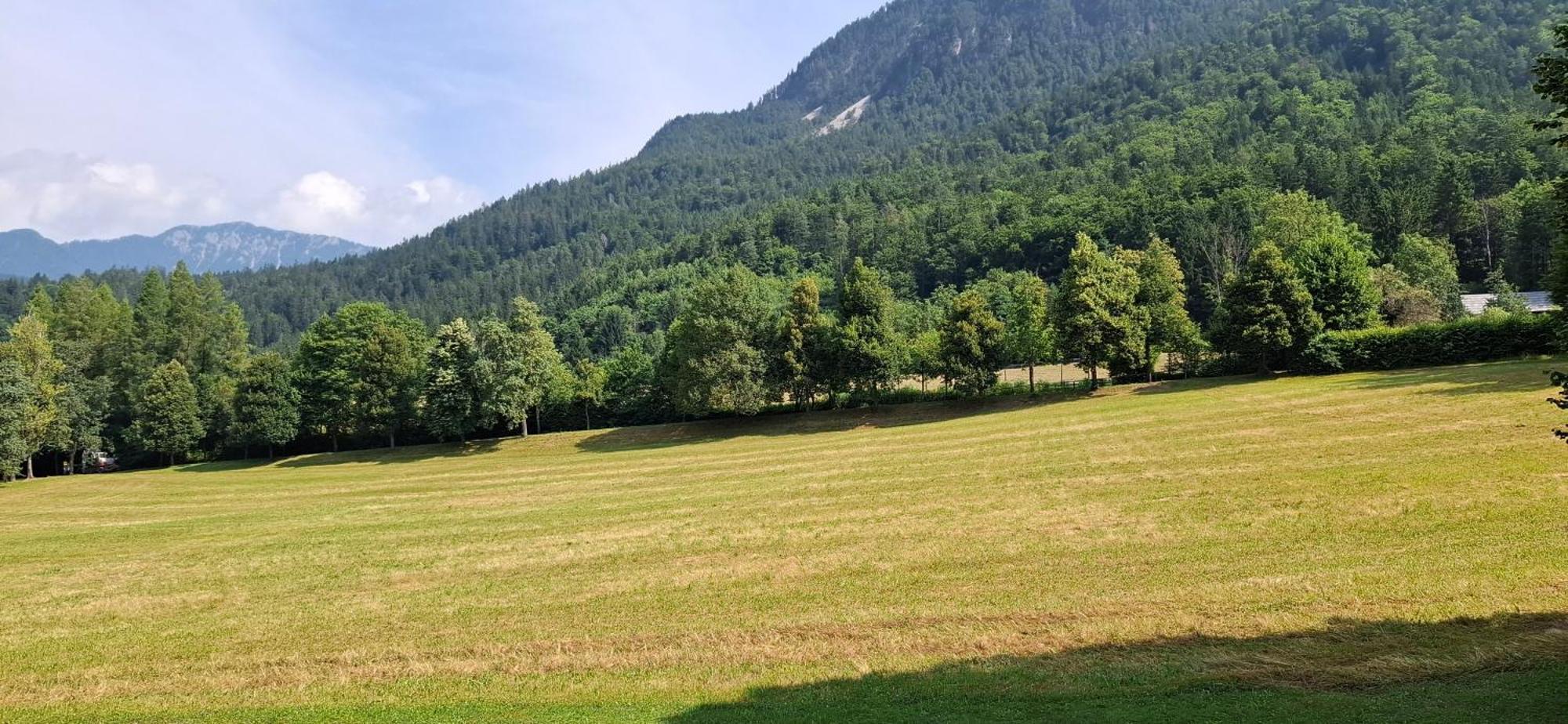 Ferienwohnungen Schloss Wasserleonburg Noetsch Номер фото