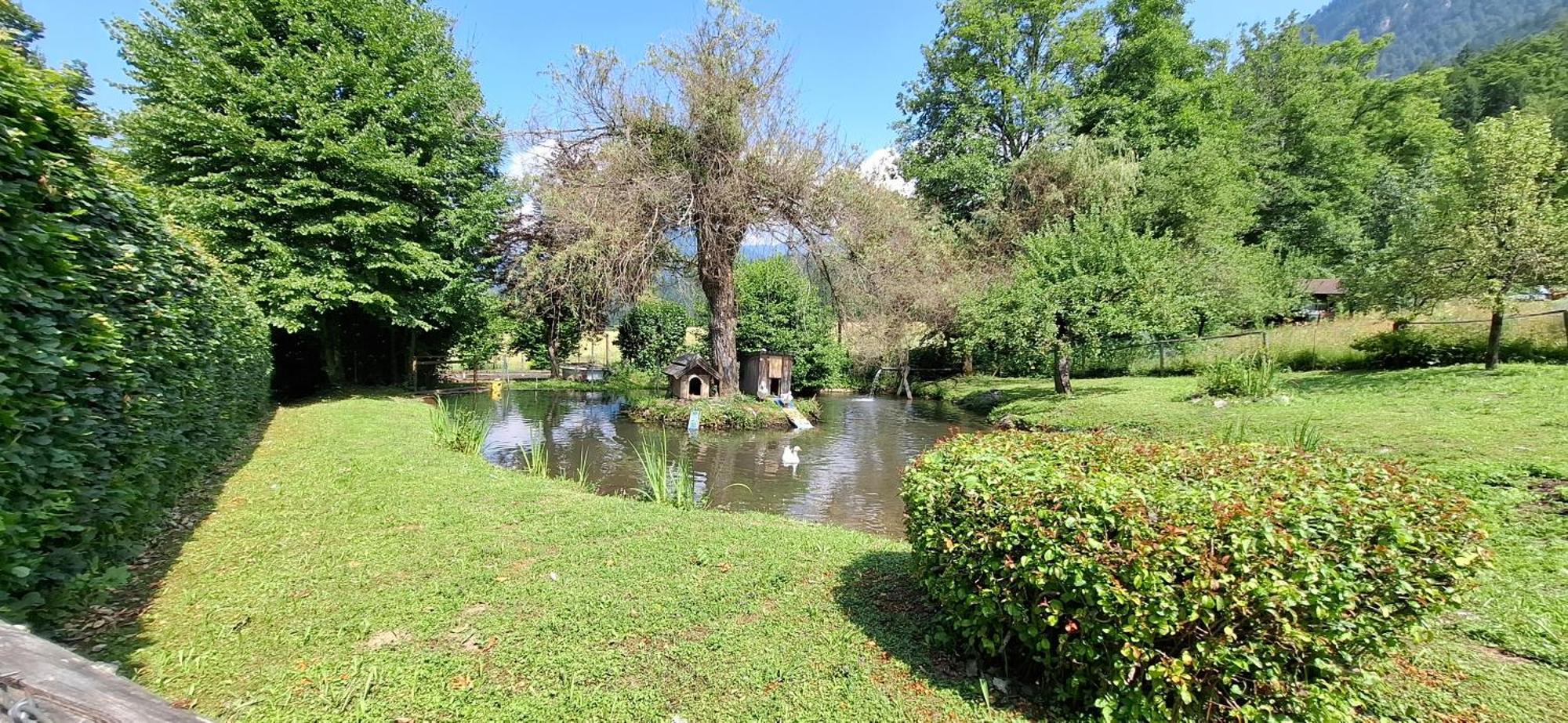 Ferienwohnungen Schloss Wasserleonburg Noetsch Екстер'єр фото